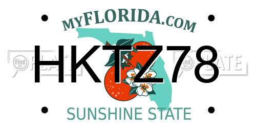 HKTZ78 Florida License Plate