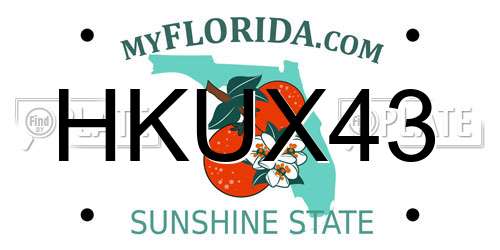 HKUX43 Florida License Plate