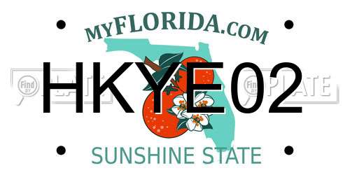 HKYE02 Florida License Plate
