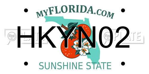 HKYN02 Florida License Plate