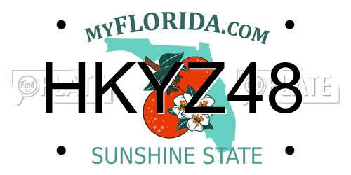 HKYZ48 Florida License Plate