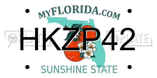 HKZP42 Florida License Plate