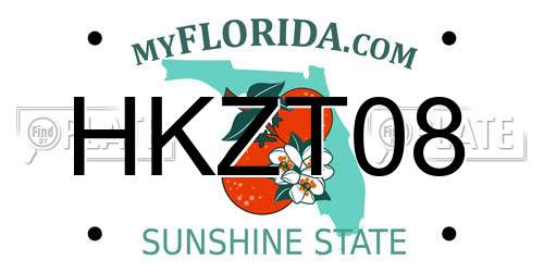 HKZT08 Florida License Plate