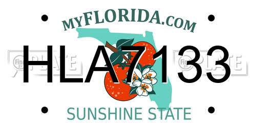 HLA7133 Florida License Plate