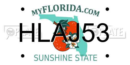 HLAJ53 Florida License Plate
