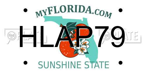 HLAP79 Florida License Plate
