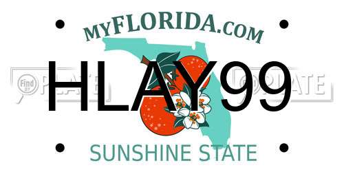 HLAY99 Florida License Plate