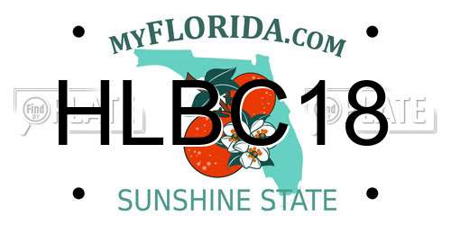 HLBC18 Florida License Plate