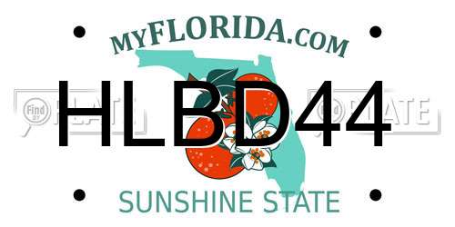 HLBD44 Florida License Plate