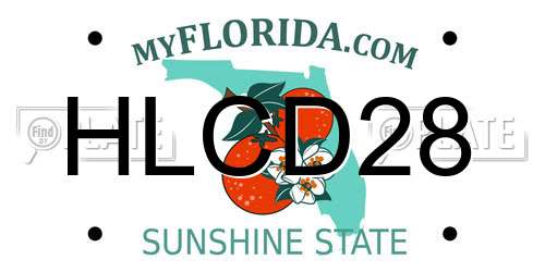 HLCD28 Florida License Plate