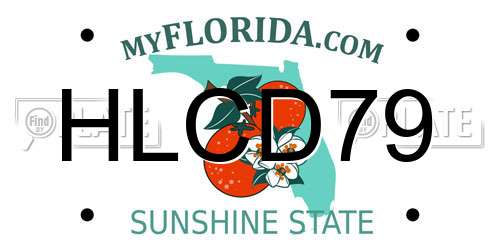 HLCD79 Florida License Plate