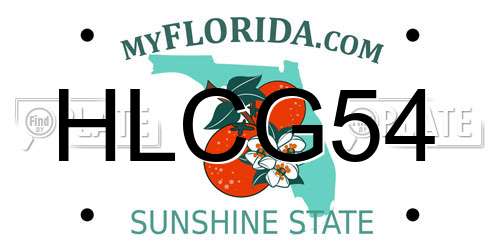 HLCG54 Florida License Plate