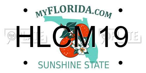 HLCM19 Florida License Plate