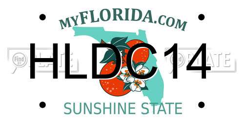 HLDC14 Florida License Plate