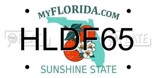 HLDF65 Florida License Plate