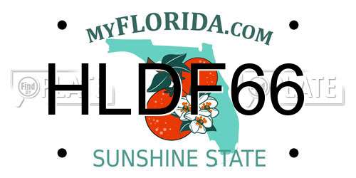 HLDF66 Florida License Plate