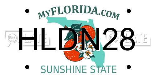 HLDN28 Florida License Plate