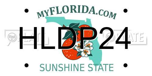 HLDP24 Florida License Plate