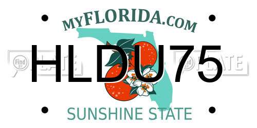 HLDU75 Florida License Plate