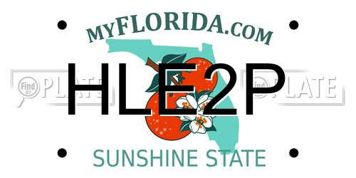 HLE2P Florida License Plate