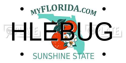 HLEBUG Florida License Plate