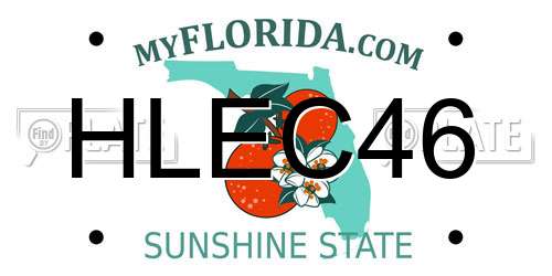 HLEC46 Florida License Plate