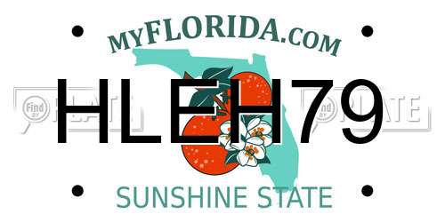 HLEH79 Florida License Plate