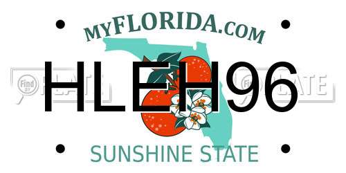 HLEH96 Florida License Plate