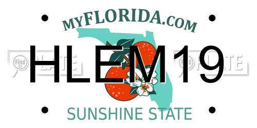 HLEM19 Florida License Plate