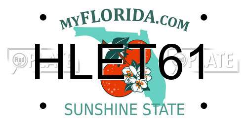 HLET61 Florida License Plate
