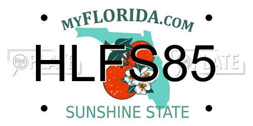 HLFS85 Florida License Plate