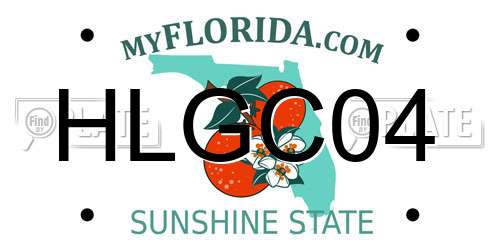 HLGC04 Florida License Plate