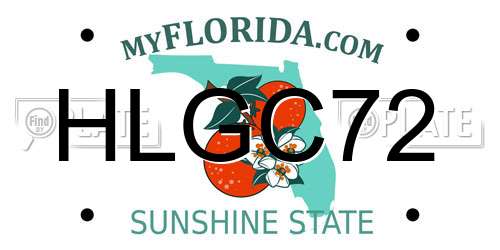 HLGC72 Florida License Plate
