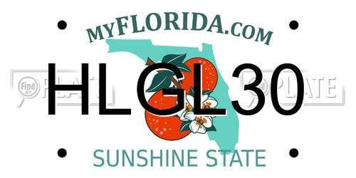 HLGL30 Florida License Plate