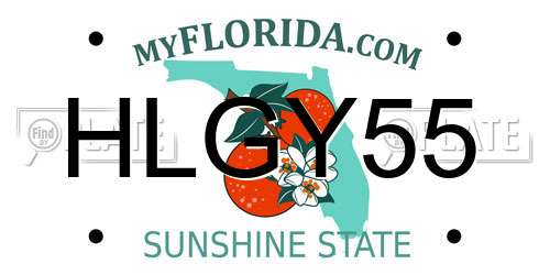 HLGY55 Florida License Plate