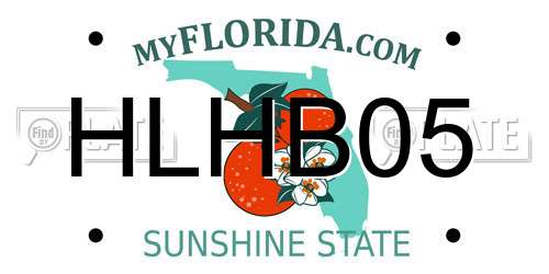 HLHB05 Florida License Plate