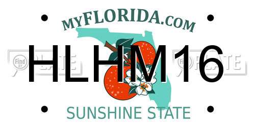 HLHM16 Florida License Plate