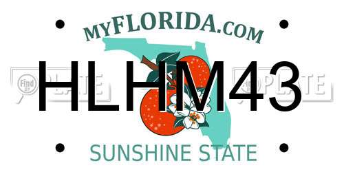 HLHM43 Florida License Plate