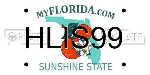 HLIS99 Florida License Plate