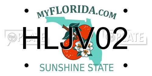 HLJV02 Florida License Plate