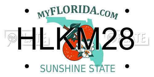 HLKM28 Florida License Plate