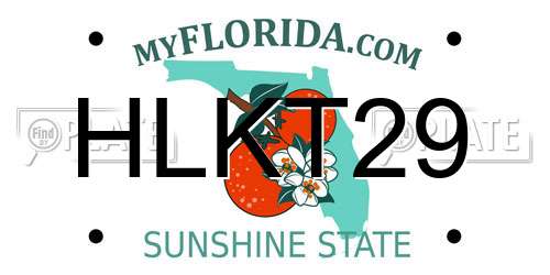 HLKT29 Florida License Plate