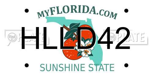 HLLD42 Florida License Plate