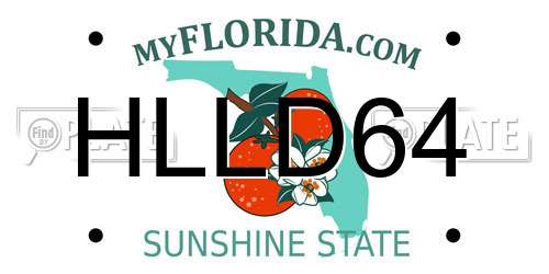 HLLD64 Florida License Plate