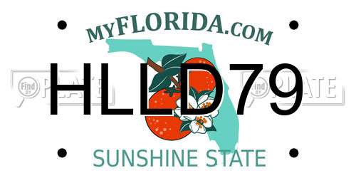 HLLD79 Florida License Plate