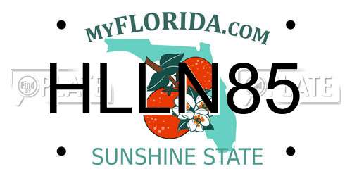 HLLN85 Florida License Plate