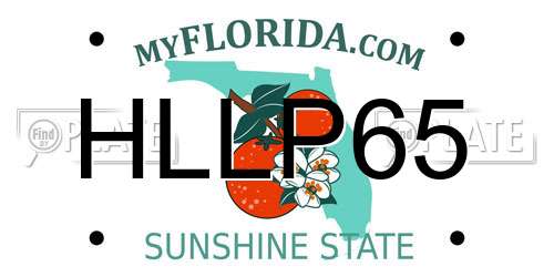 HLLP65 Florida License Plate