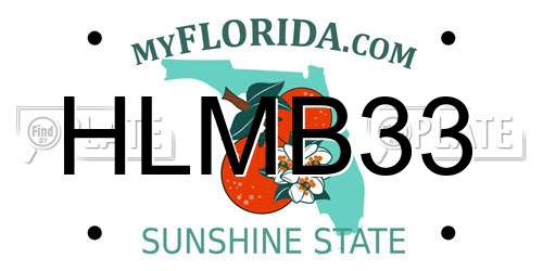 HLMB33 Florida License Plate