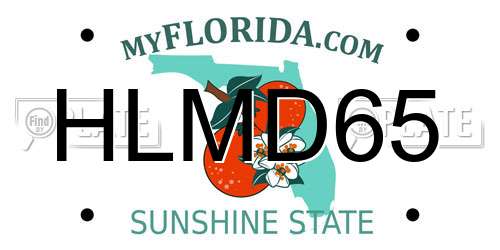 HLMD65 Florida License Plate
