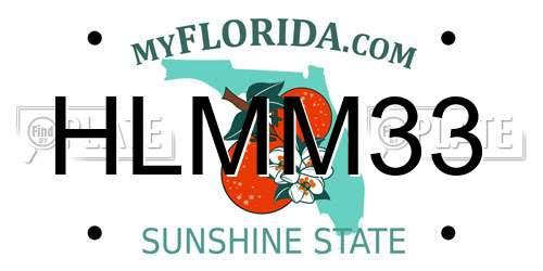 HLMM33 Florida License Plate